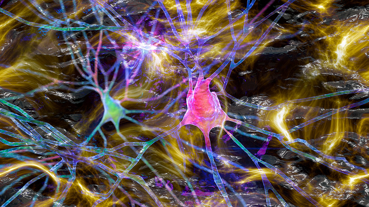 An image of a brain’s neural network