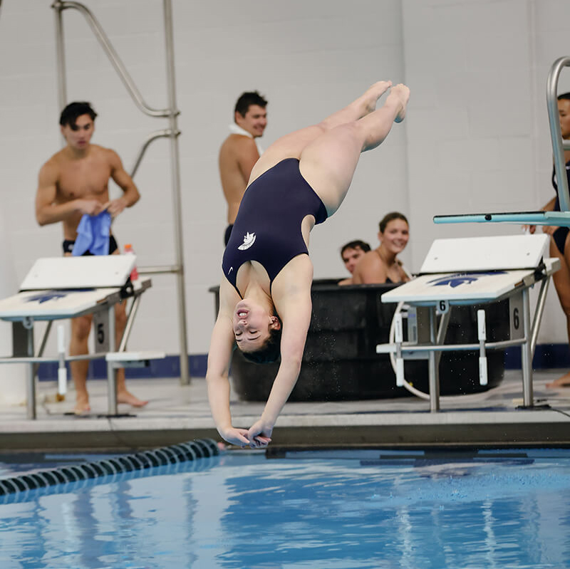 Photo of a student athlete diving backward into a pool.