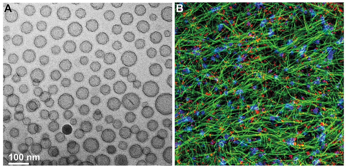 Two side-by-side microscopic images of nanoparticles, one shows gray circles against a lighter gray background; the other shows an array of green lines with flecks of blue and red.