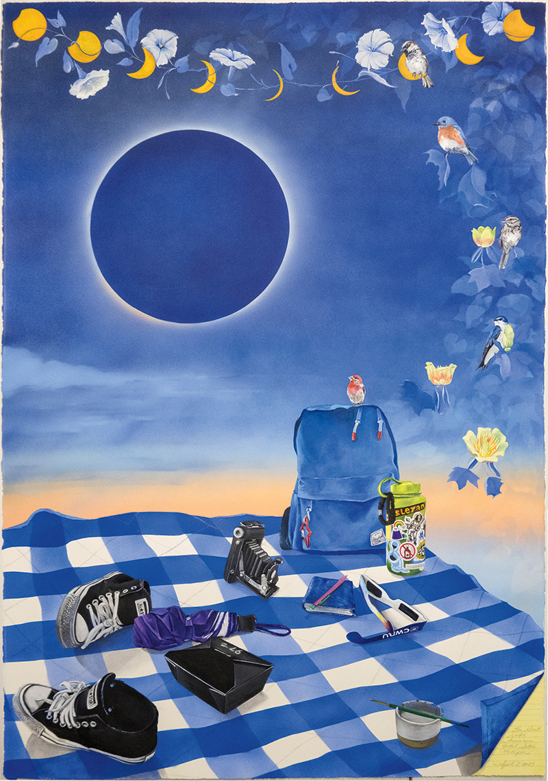 An artwork with everyday items on a blanket in an eclipse day