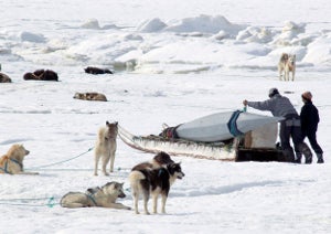 Preparing to go on the ice in Qaanaaq, Greenland.