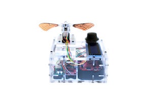 Photo of moth wings connected to a wired device