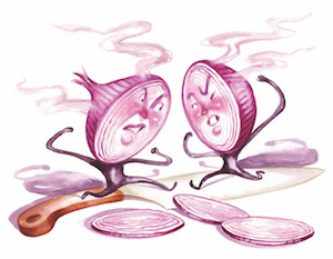 Illustrations of two onions with faces facing each other