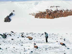 Cari Corrigan outside in Antarctica searching for meteorites