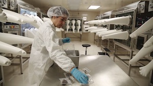 Cari Corrigan in the lab wearing a lab coat, gloves, and hair net while she examines samples