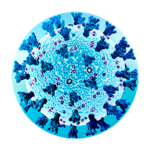 Image of the coronavirus