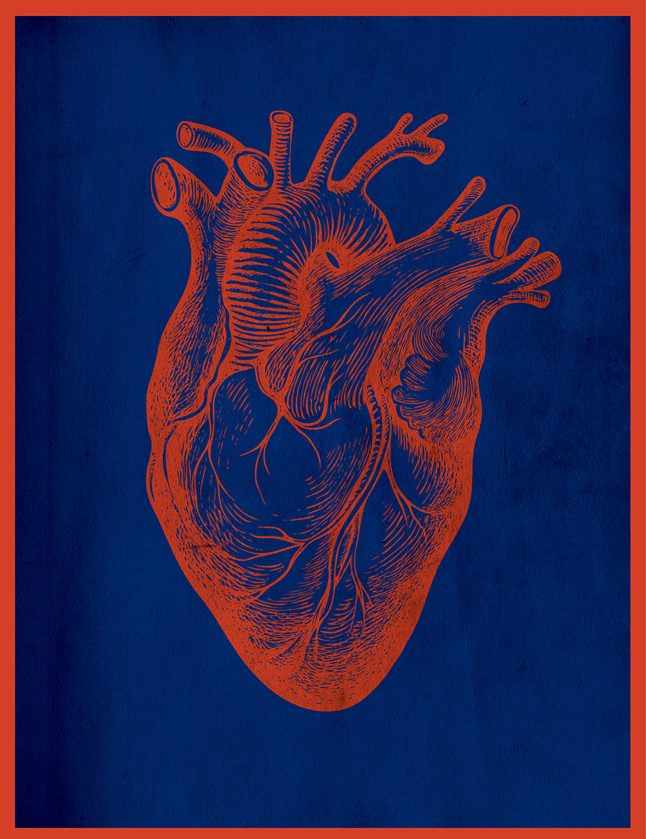 An illustration of a heart