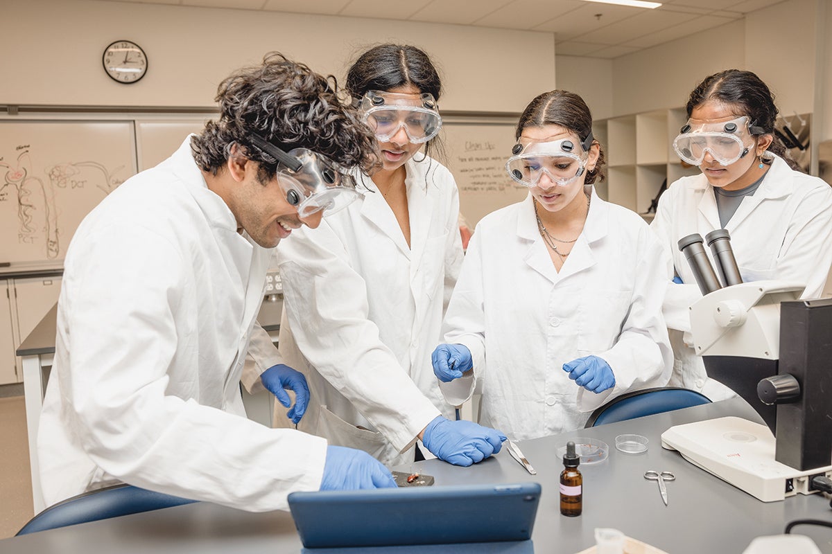 Four students wearing lab coats and goggles working in a lab