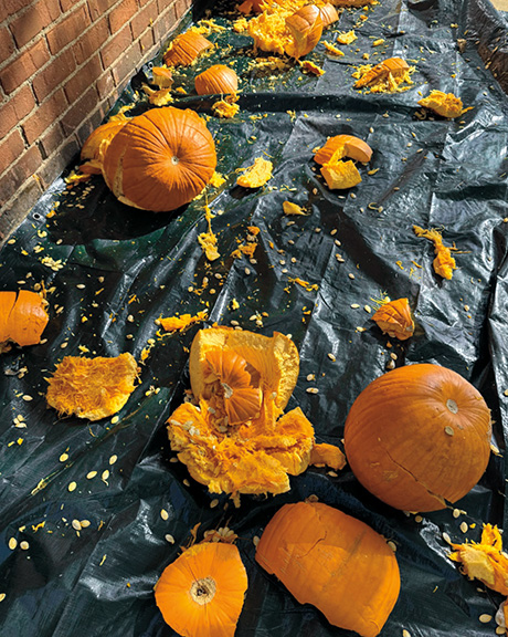 Image depicts smashed pumpkins after being dropped
