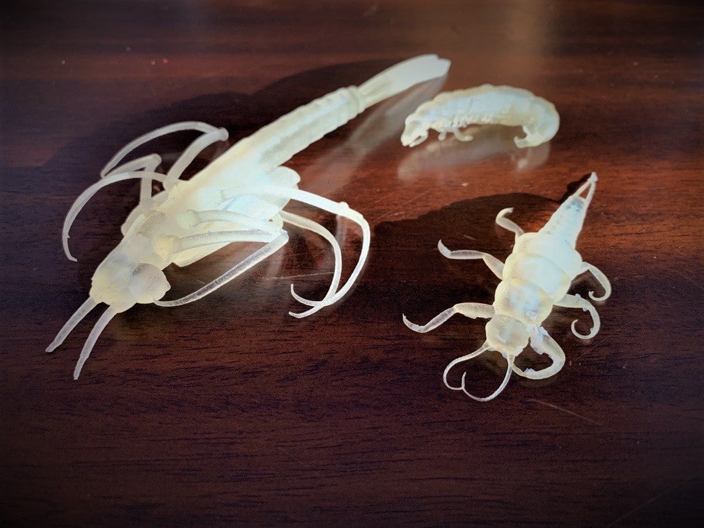 Three translucent white 3D printed aquatic macroinvertebrates sit on a wooden table.
