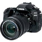 A Canon Camera