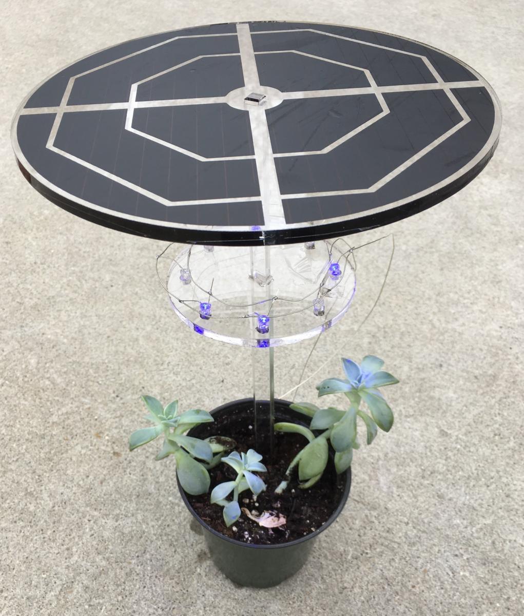 A grow light supplying light for a pot of succulents