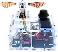 Moth robot prototype