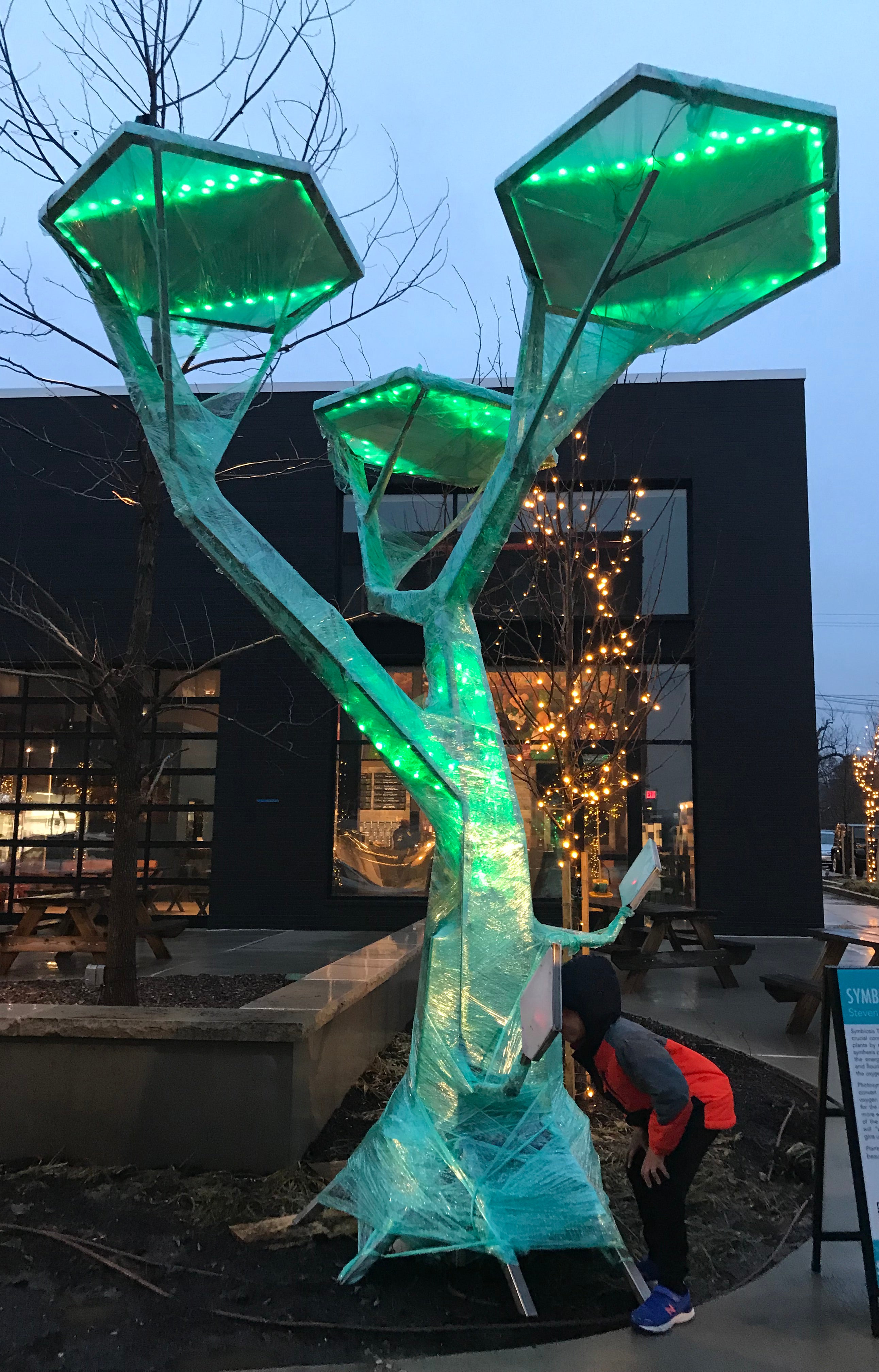 An art installation of wired metal tree sculpture using LEDs to visualize photosynthesis