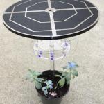 A grow light supplying light for a pot of succulents