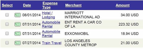 An image that shows the AMEX T&E Card expenses, including date, expense type, merchant and amount