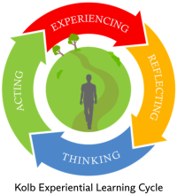 Kolb Experiential Learning Cycle: Thinking, Acting, Experiencing, Reflecting