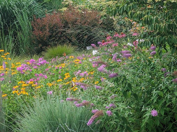 Wildflowers