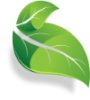 leaf icon