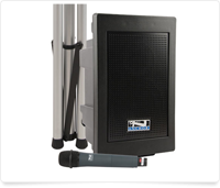 portable sound system with wireless microphone