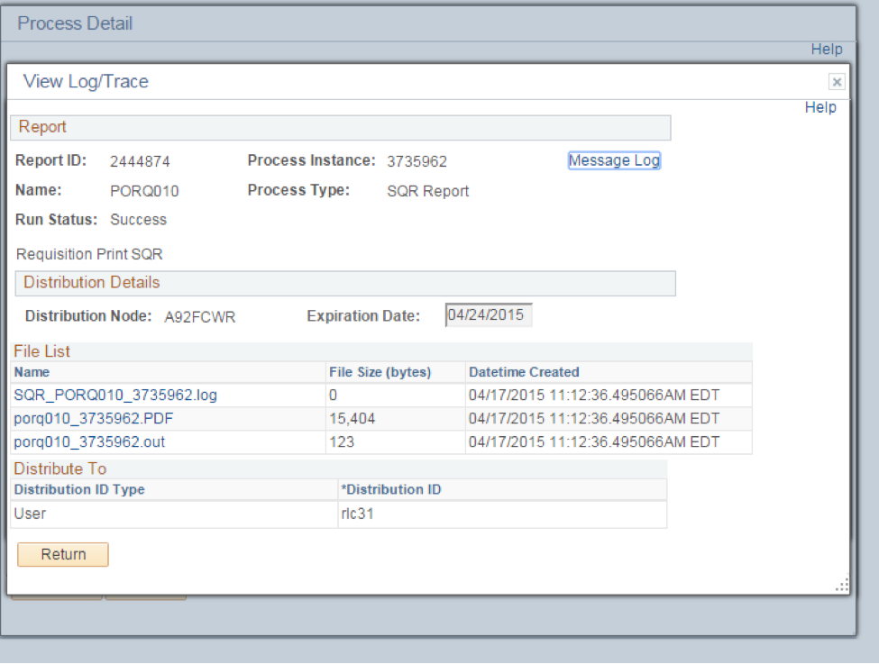 PeopleSoft Financials screen shot of Process Detail View Log/Trace information. 