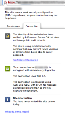 Site with a red slash through the lock icon and URL