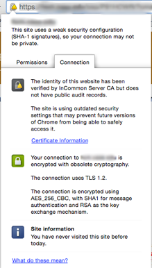 site with the gold triangle through the lock and url