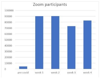 Zoom participants