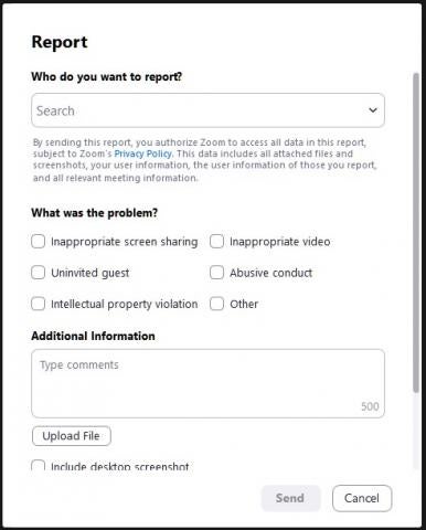Form for reporting a participant in a Zoom meeting due to misuse.