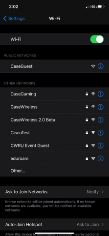 Select CaseWiress from settings on iOS device
