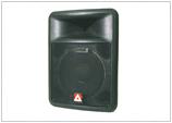 Large Powered Speaker