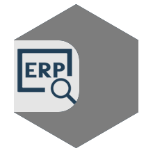 gray hexagon with erp letters and magnifying glass icon