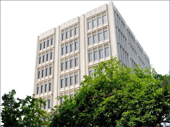 Outdoor shot of a CWRU building with a tree in the foreground