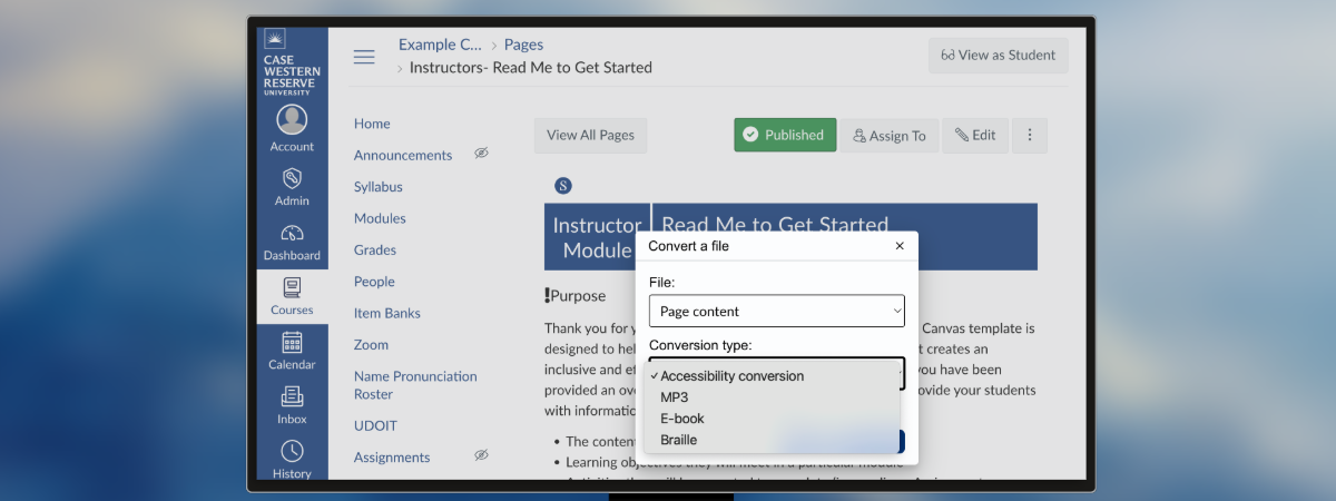 Screenshot of SensusAccess showing a list of alternative file formats such as MP3, E-book, and Braille. 