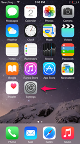 IPhone home screen with Settings button highlighted