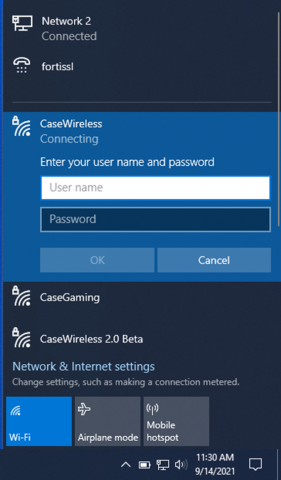 Enter CaseWireless information on Windows device