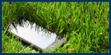 smart phone lying in high grass