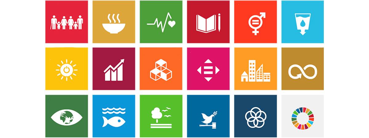 UN Global goals icons and logos
