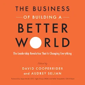 Picture of cover for "The Business of Building a Better World"
