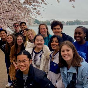 WES students stand in front of a Cherry Blossom tree in Washington D.C.