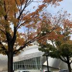 Picture of autumn trees in front of the Peter B. Lewis Building