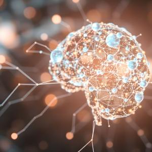 Brain with digital networks leading into it