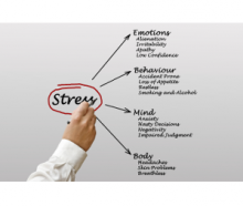 The word stress cirlced with arrows to other words indicating stress factors.