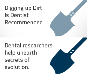 Digging up Dirt Is Dentis Recommended